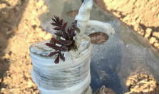 云南丽江永胜县