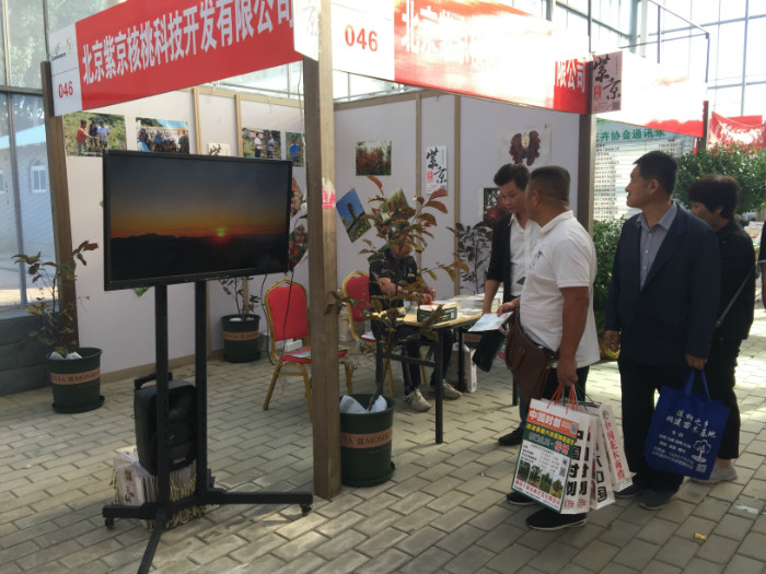 昌邑展会